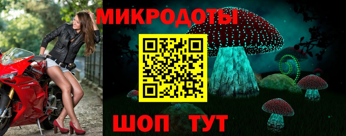 Галлюциногенные грибы Psilocybe  Вход с VPN  Галлюциногенные грибы MAGIC MUSHROOMS  Избербаш 